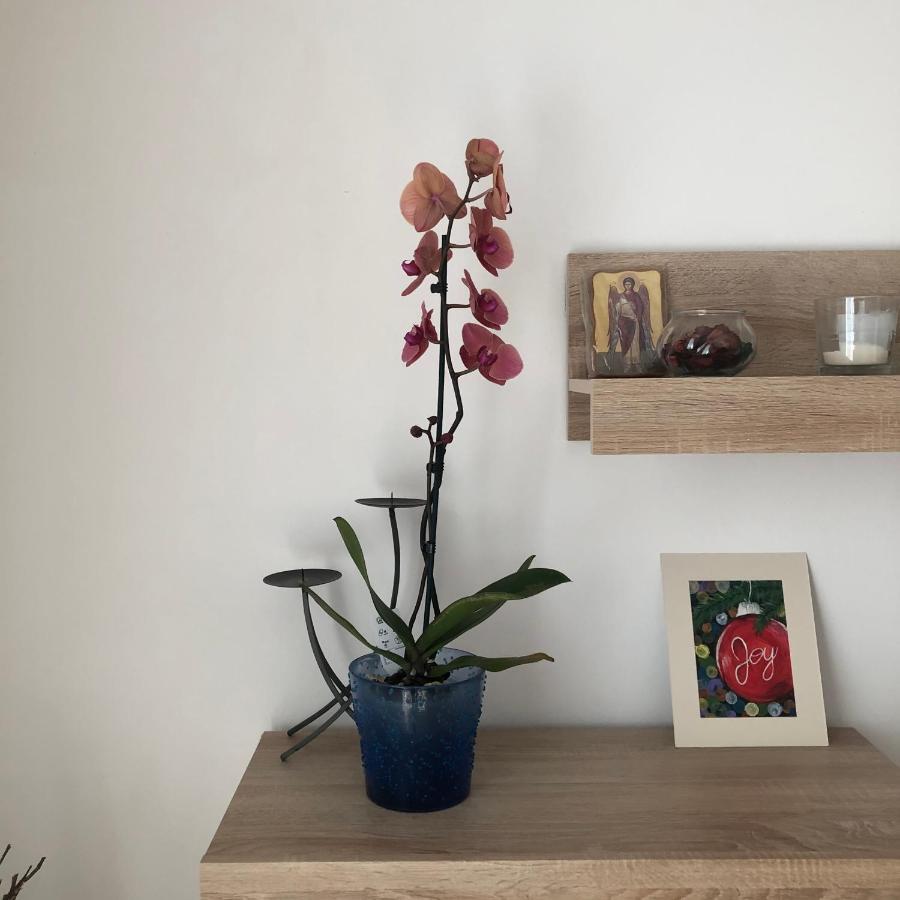 Grig Apartament Apartment Bucharest Luaran gambar